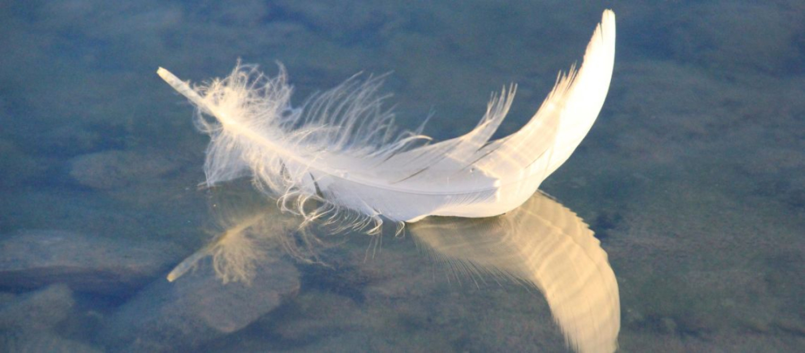 Palliatiivinen hoito ja saattohoito käytänteitä ja kohtaamisia